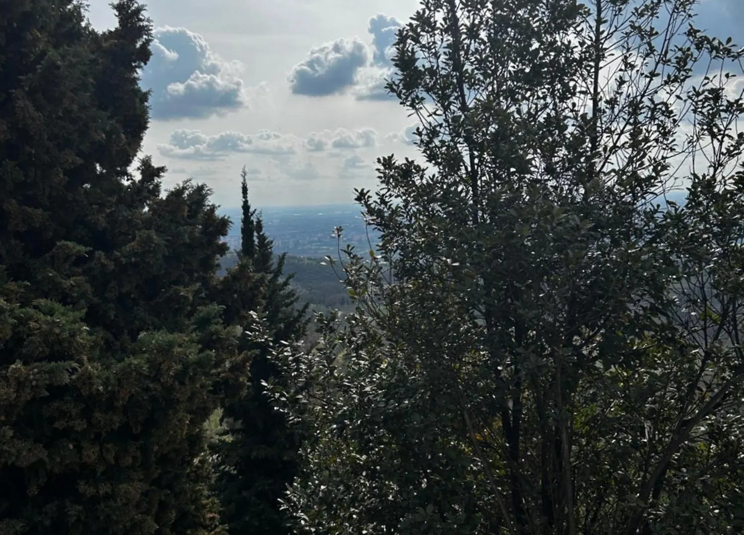 Casa Palmira Villa Avesa 0*,