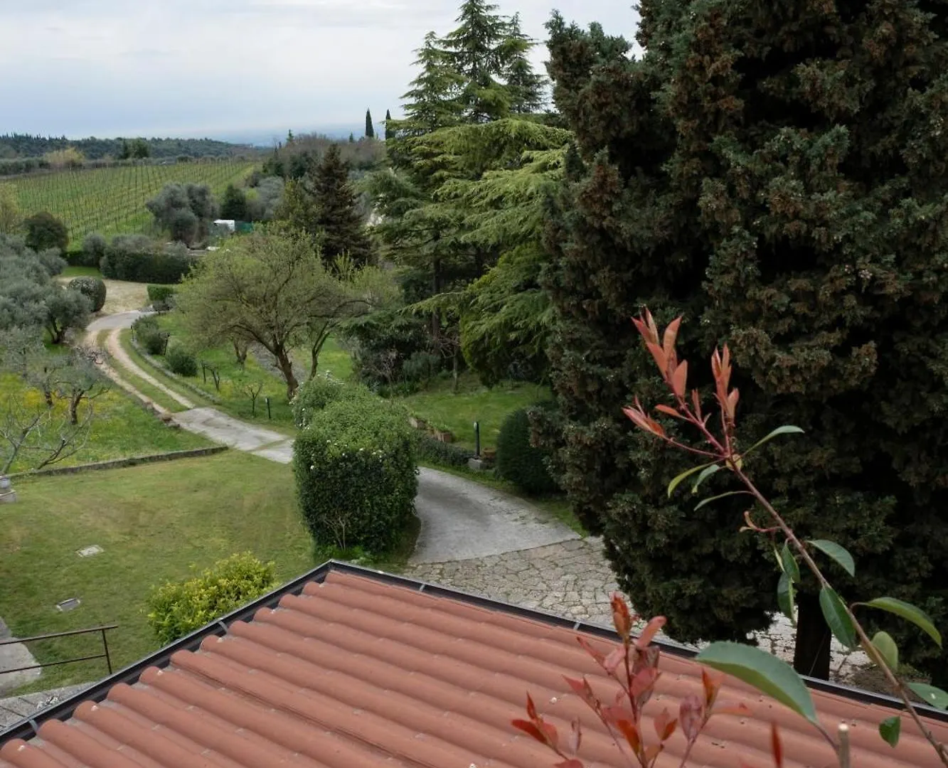 Casa Palmira Villa Avesa Nyaraló